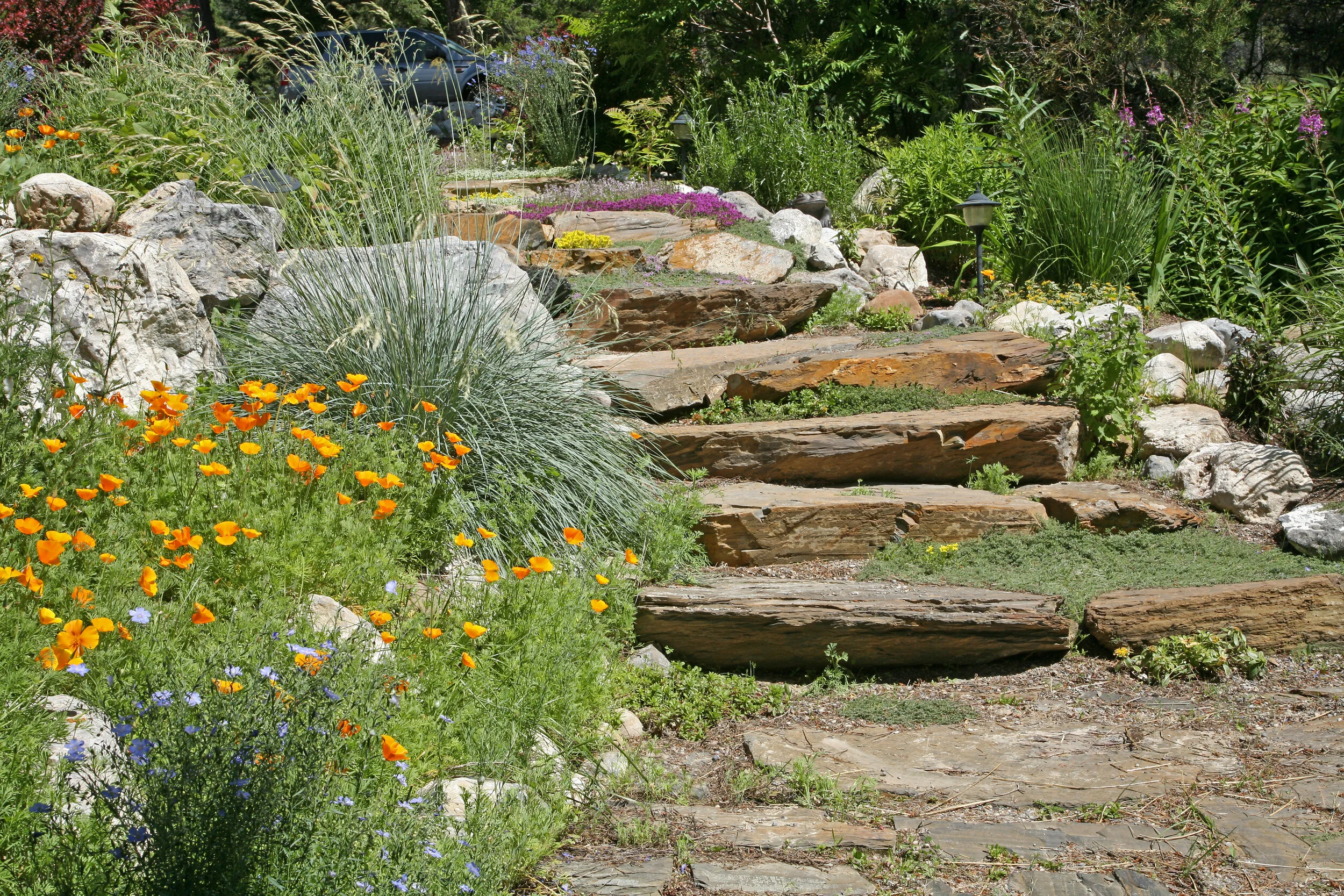 Chasing Timeless Landscape Design | Sierra Landscape Management, LLC